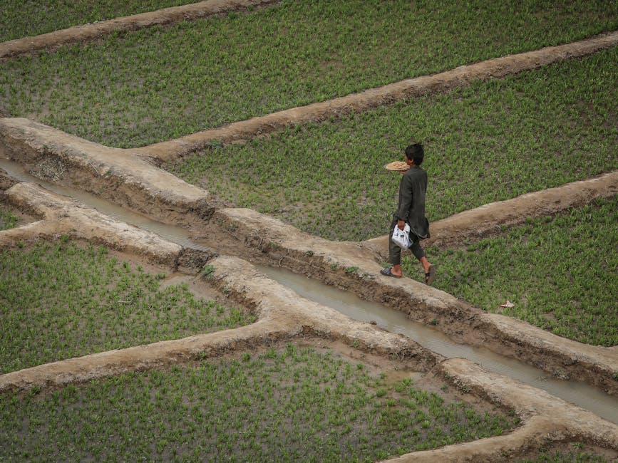 Landscape view near agricultural communities.